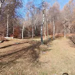 Monti Di Motti Inmitten Der By Interhome Сasa de vacaciones Gordola
