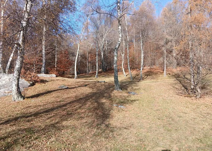 Monti Di Motti Inmitten Der By Interhome Dom wakacyjny Gordola