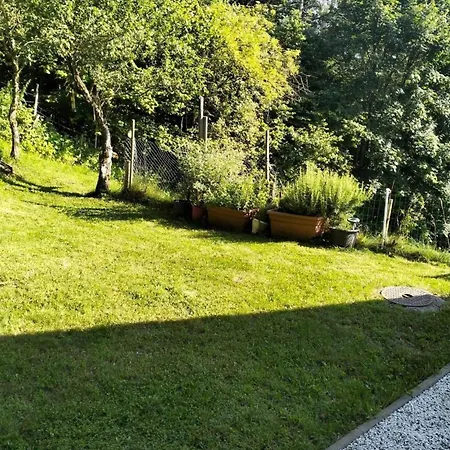 Monti Di Motti Inmitten Der By Interhome * Gordola